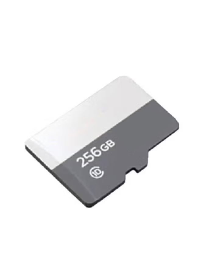 بطاقة الذاكرة 256GB ، قراءة سرعة تصل إلى 100MB / s ، بطاقة الذاكرة عالية السرعة الرمادية ، بطاقة TF A1 الأداء للكاميرا اللوحية للهواتف الذكية كاميرا داش - Image 1