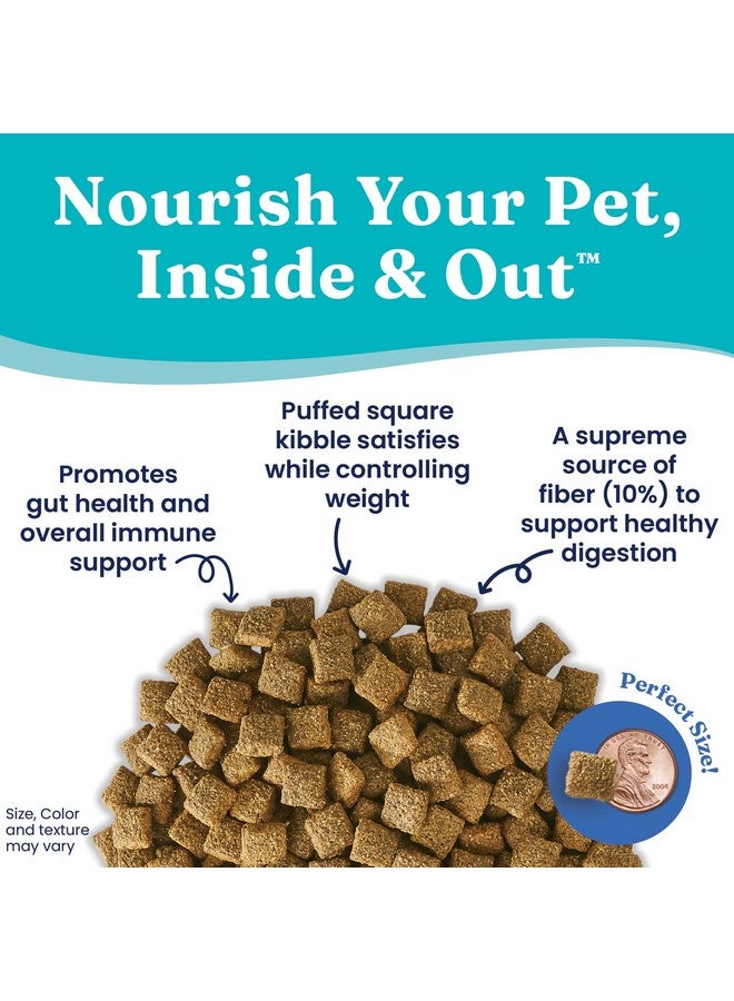 Solid Gold Dry Dog Food for Adult & Senior Dogs - Made with Real Pollock, Probioitcs, & Omega 3 Fish - Whole Grain Dry Dog Food for Weight Management & Better Digestion - 4 LB - Image 4