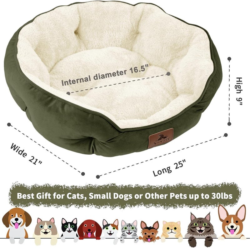 Asvin Medium Dog Bed for Medium Dogs, Large Cat Beds for Indoor Cats, Pet Bed for Puppy and Kitty, Extra Soft & Machine Washable with Anti-Slip & Water-Resistant Oxford Bottom, Green, 25 inches - Image 3
