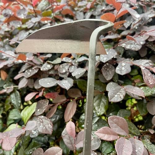ALANX 12 Inch Japanese Gardening Hand Weeding Sickle, Weeding Hoe with Long Wooden Handle - Image 4