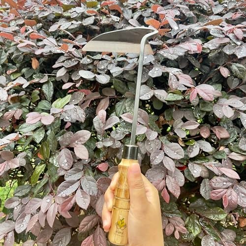 ALANX 12 Inch Japanese Gardening Hand Weeding Sickle, Weeding Hoe with Long Wooden Handle - Image 3