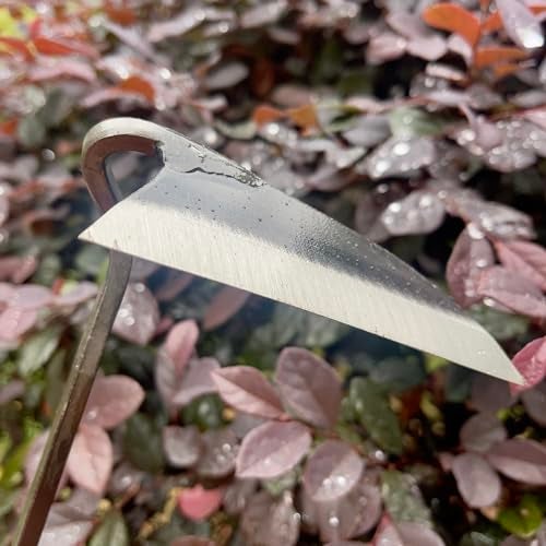 ALANX 12 Inch Japanese Gardening Hand Weeding Sickle, Weeding Hoe with Long Wooden Handle - Image 5