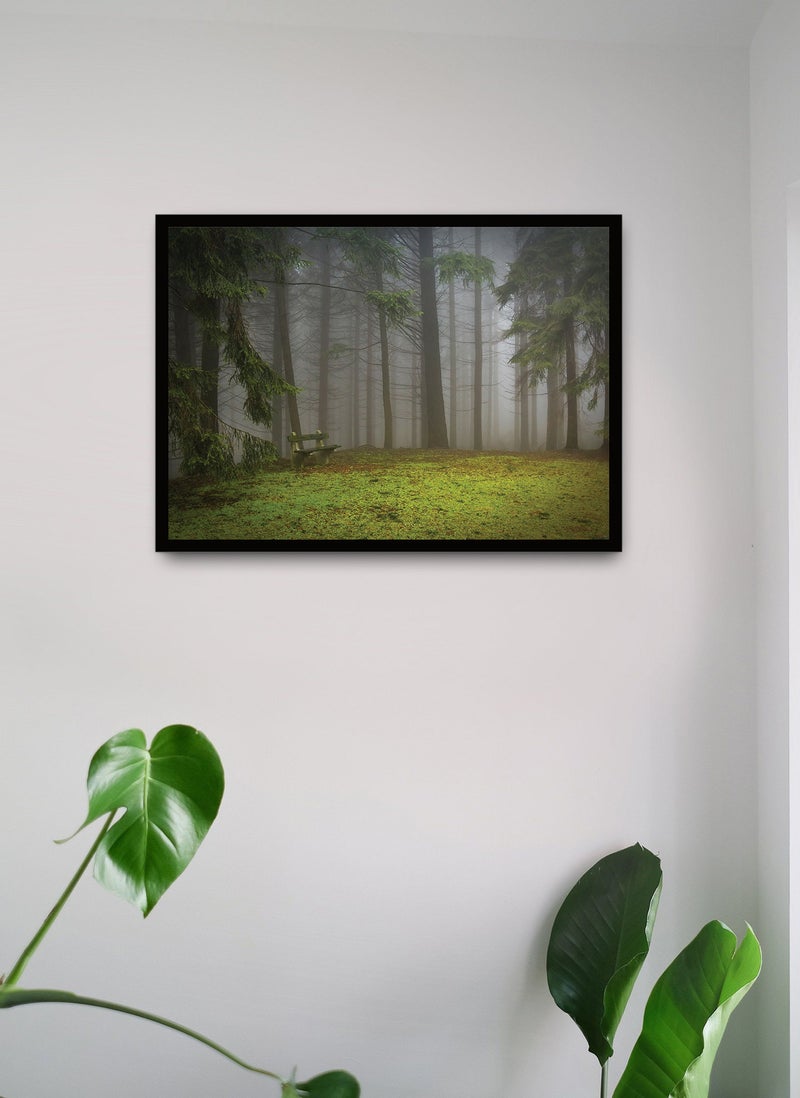 Spoil Your Wall Wall Posters with Forest Scenery Picture and Black Frame - Wall Arts Home Décor Photo Frames - 40x55cm by Spoil Your Wall  - Image 1