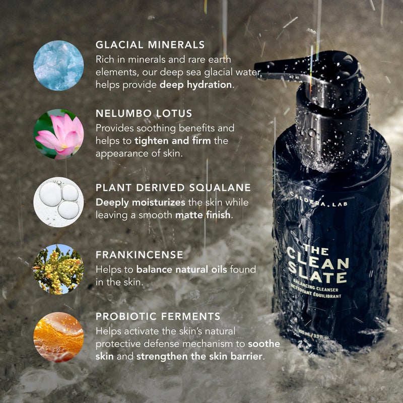 Caldera + Lab كالدييرا + لاب اللوحة النظيفة | منظف وجه رغوي عضوي للرجال للبشرة الجافة والحساسة والعادية - نباتي وطبيعي ومعبأ بمضادات الأكسدة وغسول وجه مقشر - Image 3