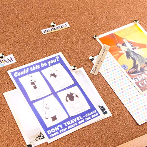 Yalis Thumb Tacks 500-count, 3/8-inch Steel Roundness Push Pins Office Tacks for Corkboard (Gold) - Image 5