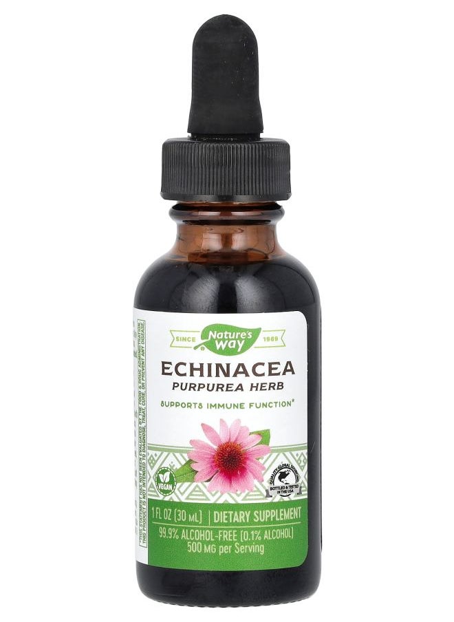 Nature's Echinacea 500 mg 1 fl oz (30 ml) 