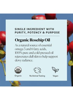 Sky Organics Organic Rosehip Oil (1Oz) Coldpressed Rosehip Seed Oil Antiaging Face Oil Antioxidant Face Oil 100% Pure Antiaging Rosehip Seed Oil For Radiant Skin Hair And Acne  - Image 5