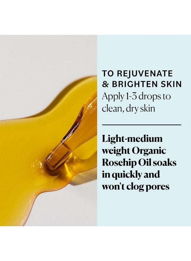 سكاي أورغانكس زيت ثمر الورد العضوي (1 أونصة) زيت بذور ثمر الورد المضغوط على البارد زيت الوجه المضاد للأكسدة زيت الوجه المضاد للأكسدة 100% زيت بذور ثمر الورد النقي المضاد للشيخوخة للبشرة المشعة والشعر وحب الشباب - Image 3