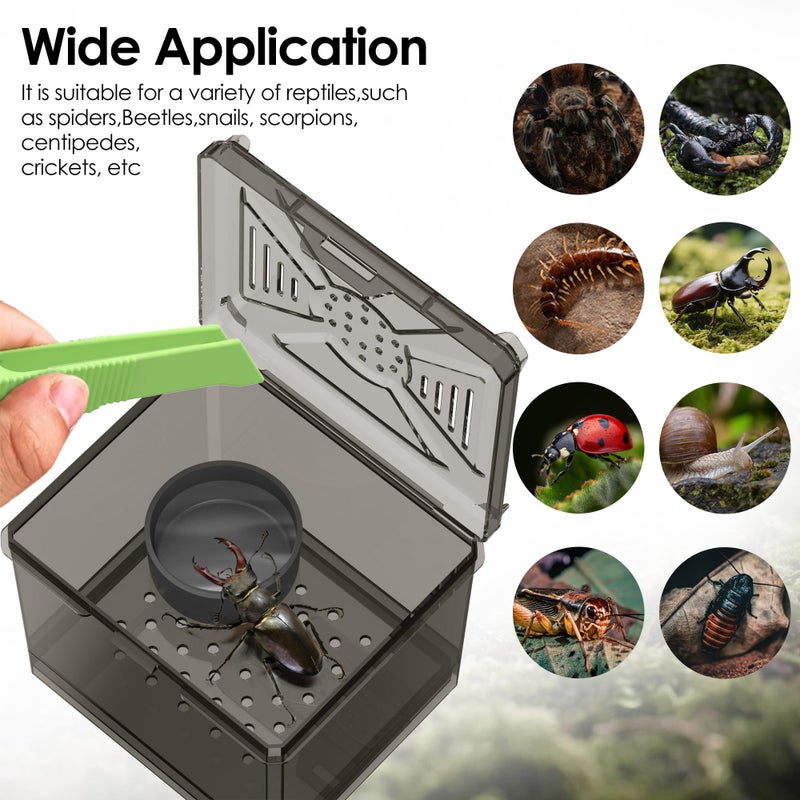 NOMOY Spider Habitat Kit - Ready-to-Use Box for Small Insects,Dubia Roach, Cockroaches, Crickets, Scorpions, Centipedes, Mantises & Snails 3.74''x3.15''x3.35''(No Assembly Needed) - Image 3