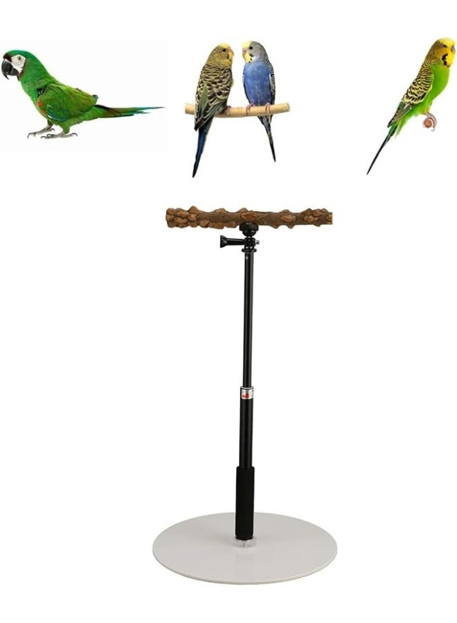 Generic Bird Parrot Play Training Perch Stand Detachable Adjustable Tabletop Bird Perch Toys for Parrot Cockatiel Parakeet Indoor Outdoor Travel  - Image 1