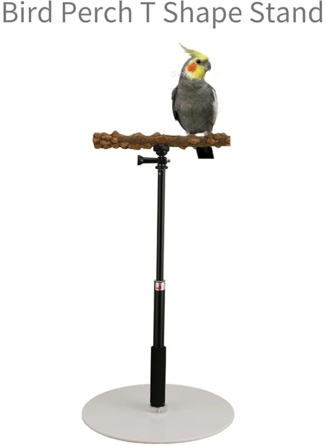 Generic Bird Parrot Play Training Perch Stand Detachable Adjustable Tabletop Bird Perch Toys for Parrot Cockatiel Parakeet Indoor Outdoor Travel  - Image 4