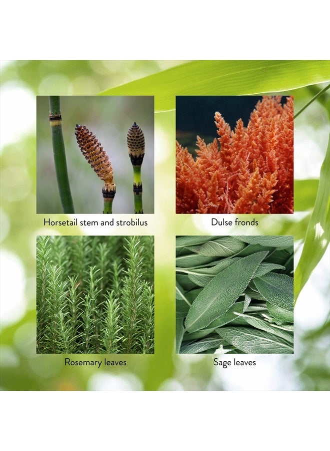 NATURE'S SUNSHINE HSN-W, 100 Capsules - Image 5