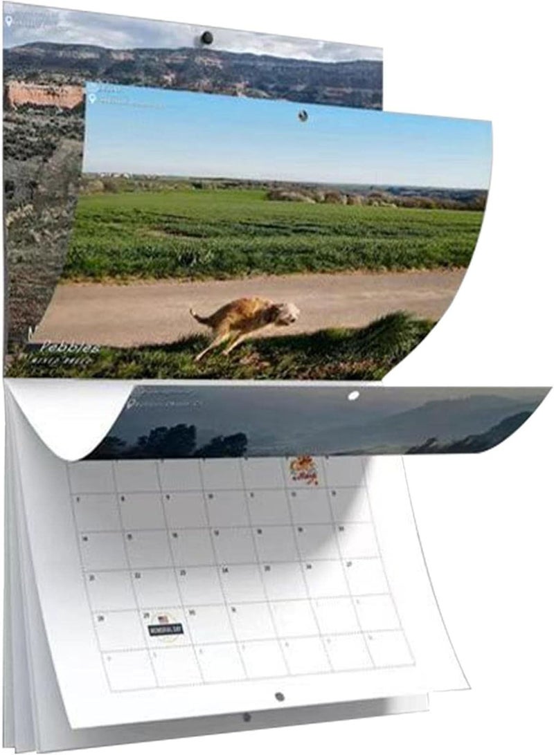 GGOOT Dog Pooping Wall Calendar, Funny Pooches with Beautiful Places Calendar for 2023, Glossy Wall Calendar Gift, Smooth Wall Calendar for Women Men Teenagers Friends Family  - Image 1