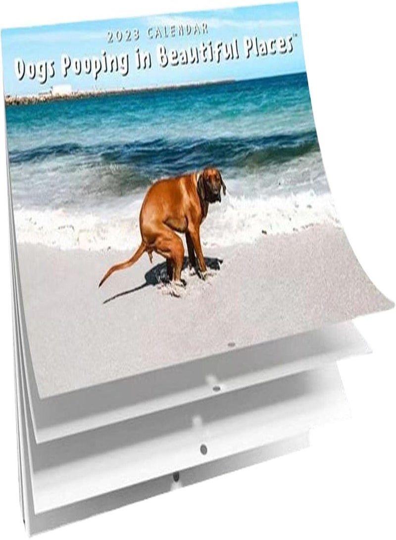 GGOOT Dog Pooping Wall Calendar, Funny Pooches with Beautiful Places Calendar for 2023, Glossy Wall Calendar Gift, Smooth Wall Calendar for Women Men Teenagers Friends Family  - Image 5