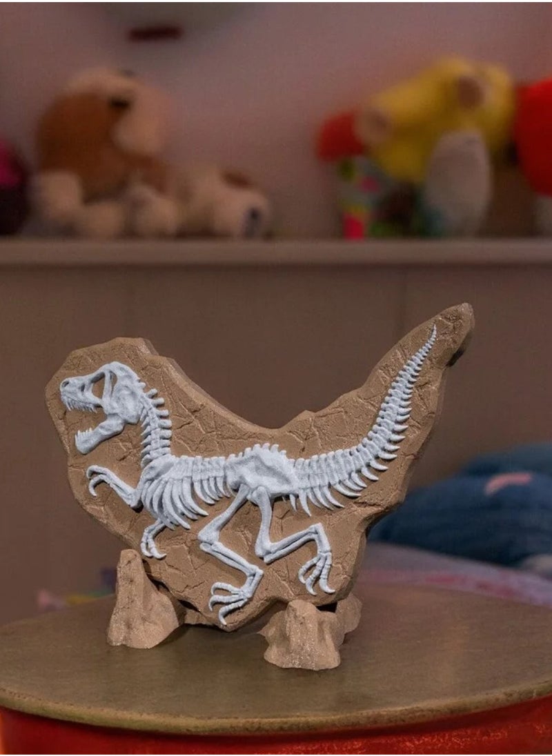 3D Brothers Dino Evidence Decoration - Fossil Decoration  - Image 1