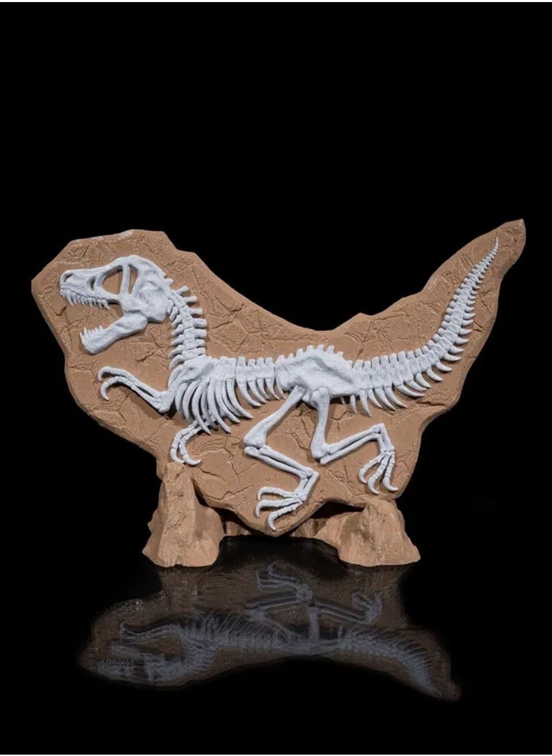 3D Brothers Dino Evidence Decoration - Fossil Decoration  - Image 2