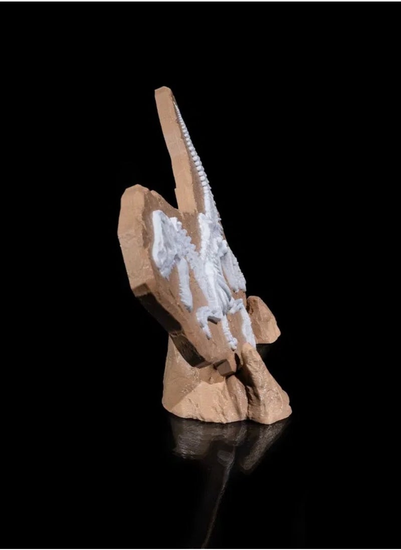 3D Brothers Dino Evidence Decoration - Fossil Decoration  - Image 3