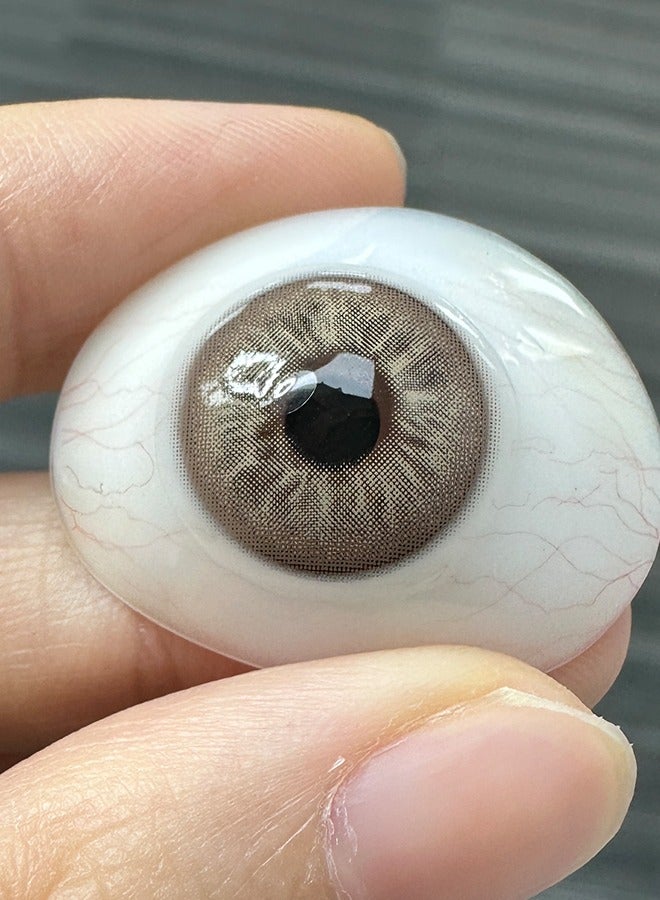 سيدة جديدة عدسات لاصقة ملونة بنية من فريش ليدي للاستخدام السنوي - Image 5