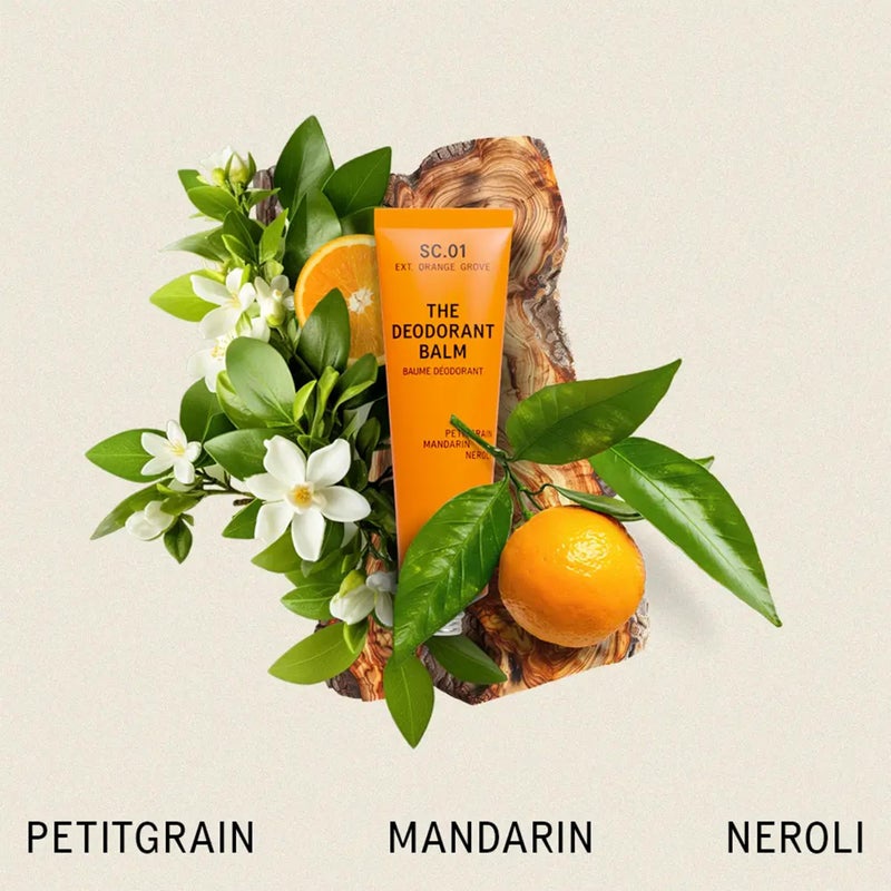 AKT Deodorant Balm 1.7 Fl Oz, Natural Deodorant for Men and Women, Award-Winning, Multi-use, Cream Deo Without Aluminum, Sc.01 Orange Grove, Plastic Free, All Genders - Image 2