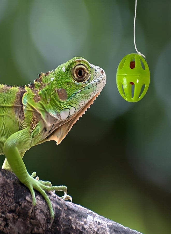 Toeloioh 5PCS Bearded Dragon Enrichment Toys Feeder Ball, Interactive Feed Toys,Bells Exercise Ball for Lizard Gecko Reptile Animals,Reptile Tank Accessories - Image 5