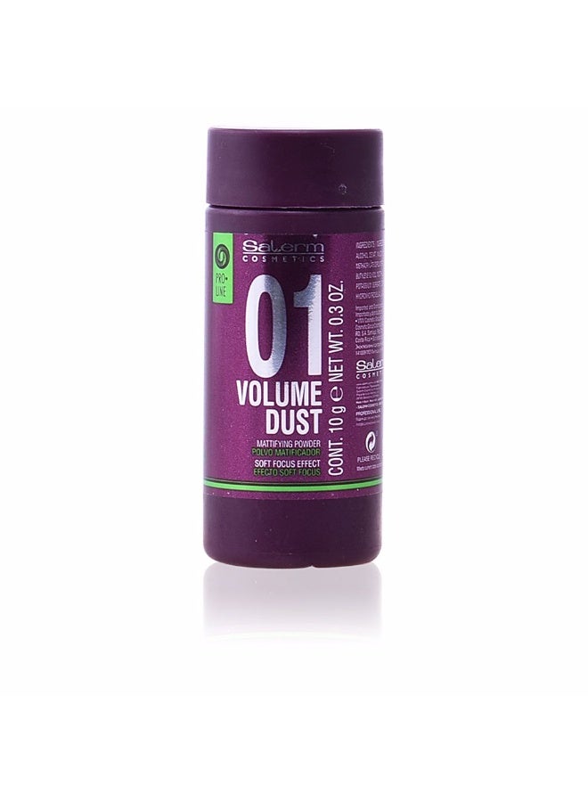 Salerm Volume Dust Mattifying Powder 10g - Image 1