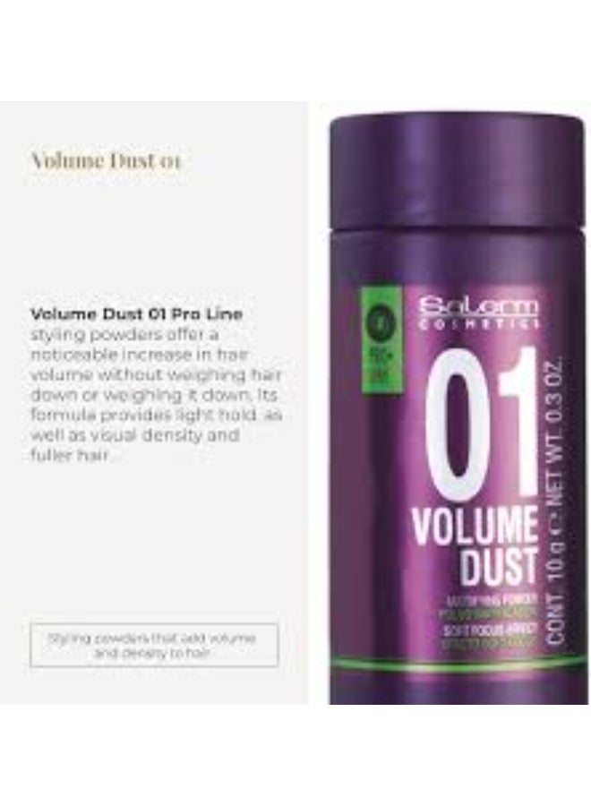 Salerm Volume Dust Mattifying Powder 10g - Image 4
