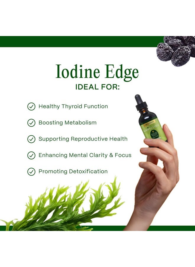 Go Nutrients - Go Nutrients Iodine Edge - Organic Nascent Iodine Supplement - Advanced Iodine Drops for Thyroid Support, Boosted Energy, Cognitive Function & Immunity - 1oz Fast Absorbing Liquid Formula, GMO-Free - Image 1