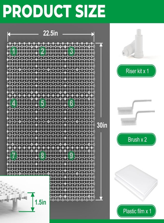 Forestchill وسادات أرضية لحظائر الدجاج من فوريستشيل، 9 قطع من وسادات الأرضيات البلاستيكية لحظائر الدجاج، سجادات مشي قابلة لإعادة الاستخدام ومتشابكة، ملحقات حظيرة الدجاج للحفاظ على الحظيرة جافة ونظيفة، مرنة للوصل - Image 2