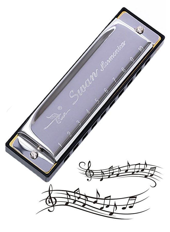 Swan 10 Hole C Blues Harmonica for Kids Adults, Beginner Diatonic Metal Blues Harp, Easy To Play Instrument, Mouth Organ in Case, Silver - Image 1