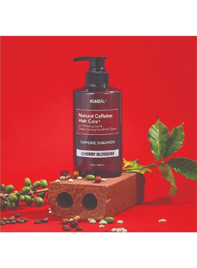 Kundal Caffeine Shampoo - Cherry Blossom 500ml - Image 2
