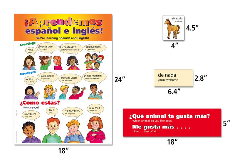 Teacher Created Resources Spanish Bulletin Board (TCR4400) - Image 4