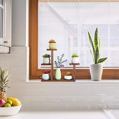 COOGOU Wood Desktop Plant Stand Indoor Small Windowsill Flower Shelf Tabletop Plant Shelf Holder Display Rack for Succulent Herb in Living Room Office - Image 3