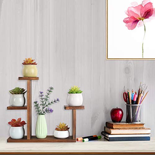 COOGOU Wood Desktop Plant Stand Indoor Small Windowsill Flower Shelf Tabletop Plant Shelf Holder Display Rack for Succulent Herb in Living Room Office - Image 2