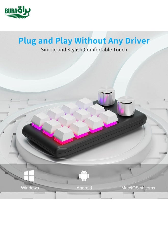 Bluetooth Wireless 12KV2 MOLD Mini Mechanical 12 Keys 2 Knob Custom Programming Keyboard(White)