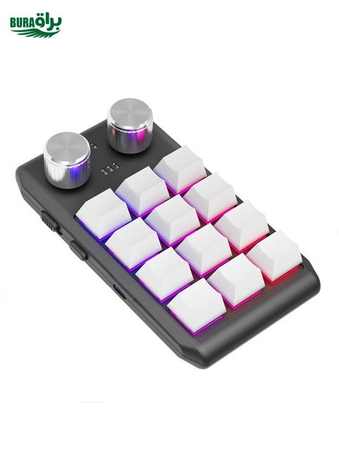 Bluetooth Wireless 12KV2 MOLD Mini Mechanical 12 Keys 2 Knob Custom Programming Keyboard(White)