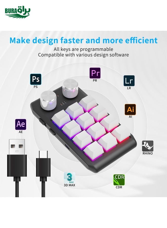 Bluetooth Wireless 12KV2 MOLD Mini Mechanical 12 Keys 2 Knob Custom Programming Keyboard(White)