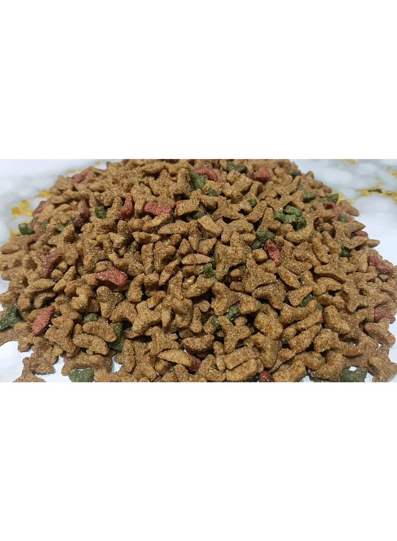 فيترو طعام جاف للقطط غني بالفيتامينات والمعادن ونسبة 26% من البروتين واوميجا 6 فيترو عبوة وزن 1 كيلوجرام كل مراحل الحياة متعدد النكهات - Image 2