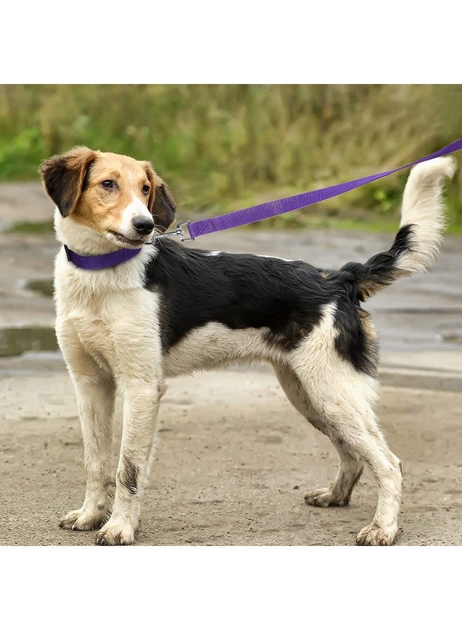 طقم طوق ومقود من النايلون عالي الجودة للجراء، طوق نايلون قابل للتعديل مع مقود للكلاب الصغيرة والمتوسطة، طقم طوق سريع الفك وجيد التهوية للكلاب الصغيرة (أرجواني) - Image 5