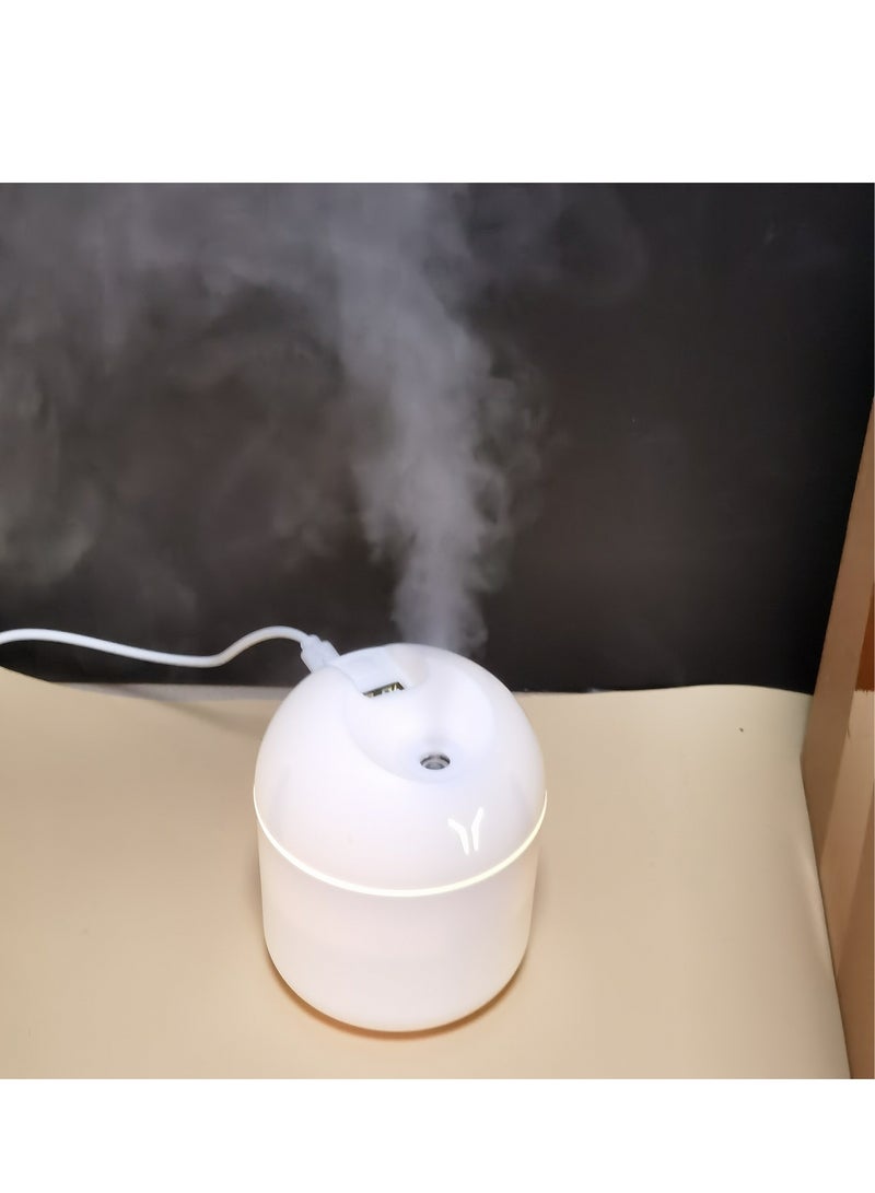 Aromatherapy Diffusers and Humidifiers: Keep your rooms fresh and your plants healthy with cool mist and night lights! - Image 5