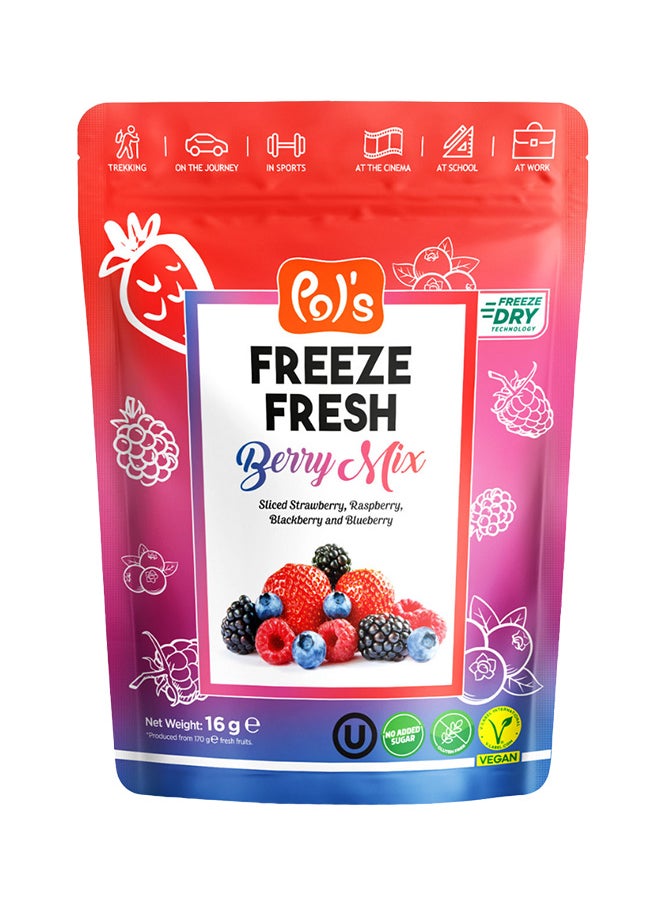 Pol's Freeze Fresh Dried Berry Mix 16g  - Image 1