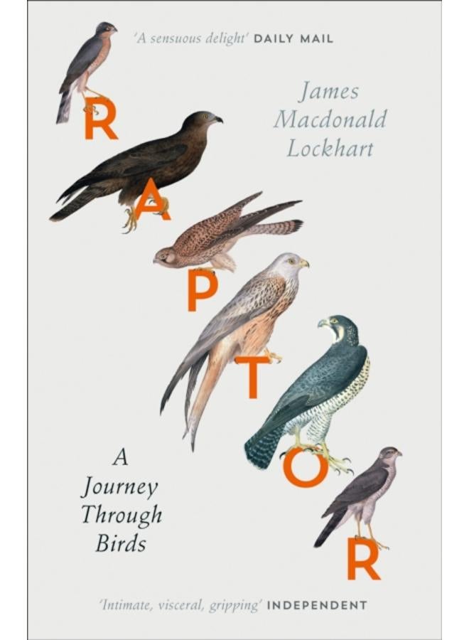 Raptor : A Journey Through Birds 