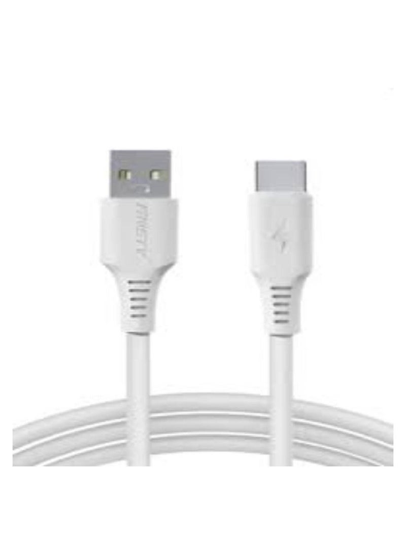ANSTY - Type C  Fast Charging Cable - Image 1