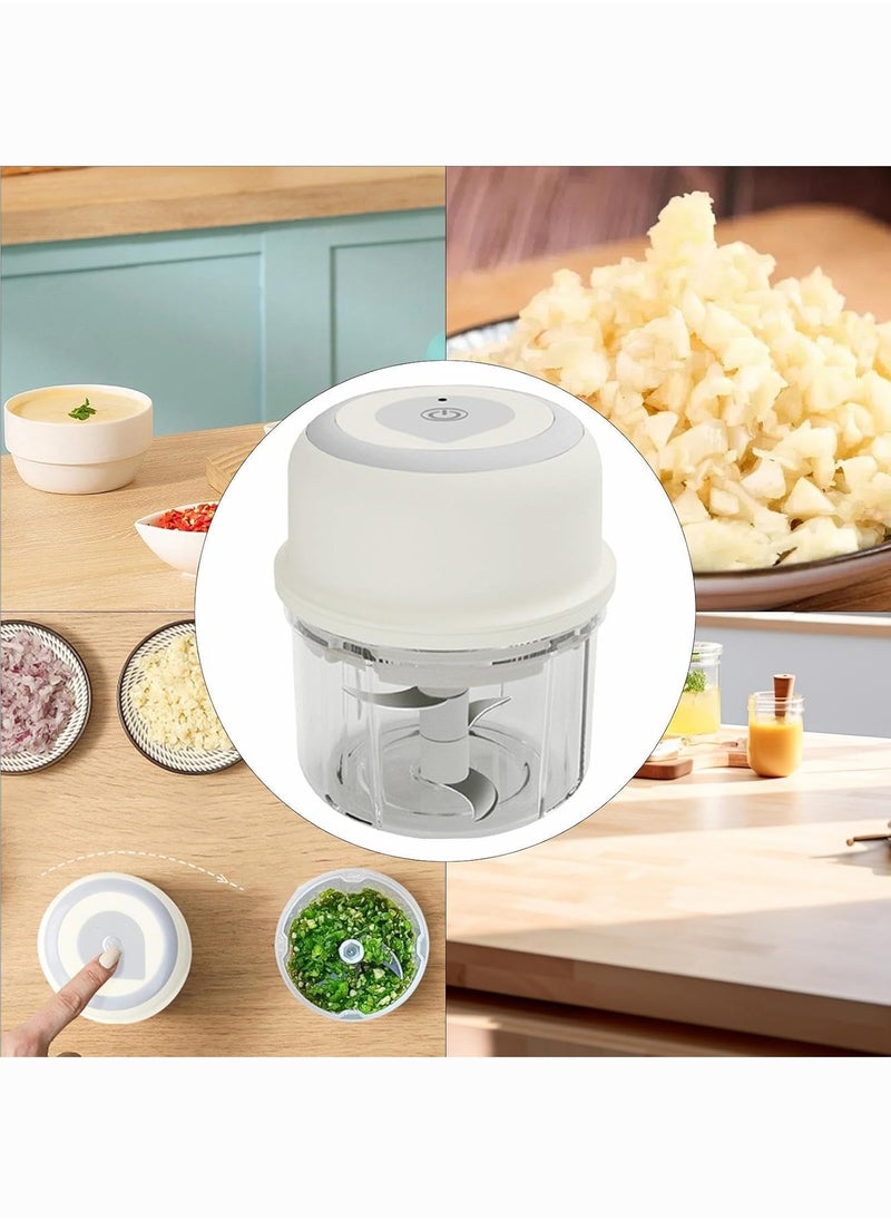 BLOOMING TIME - Household Mini Electric Garlic Mixer Simple To Clean Easy To Use, USB Charging Wireless Use, Suitable For Any Side Dish - Image 1