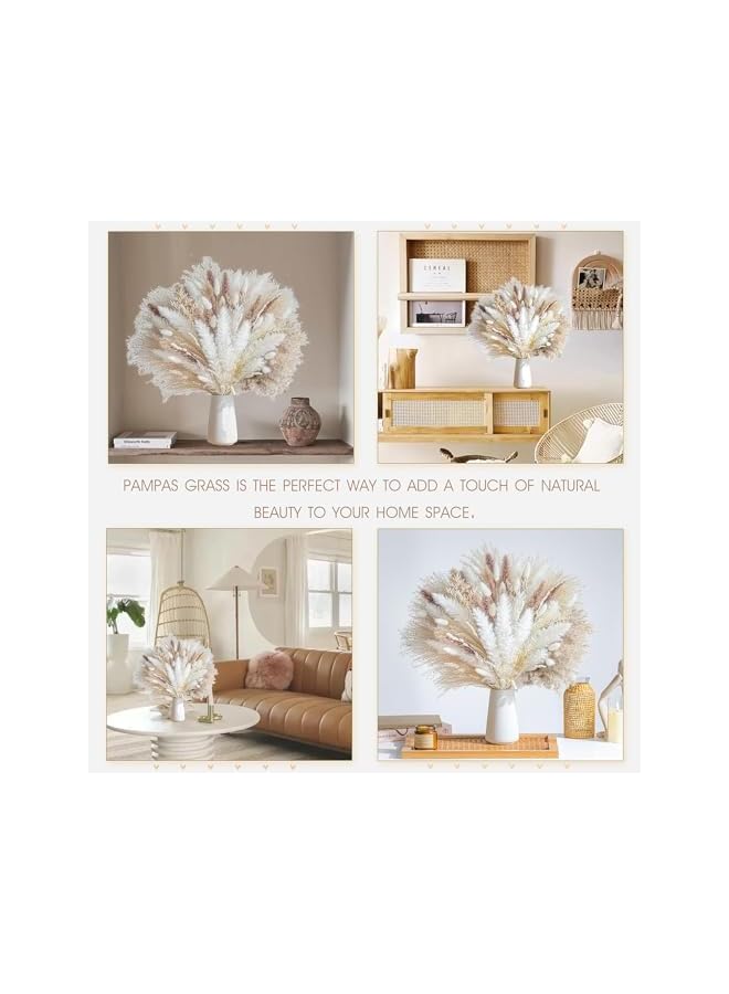 The Bros 96 Pcs Natural Dried Pampas Grass Bouquet, Boho Home Decor,Phragmites,Artificial Flowers for Wedding,Pampas Flowers for Floral Room,Home, Party,Table Decorations. - Image 3