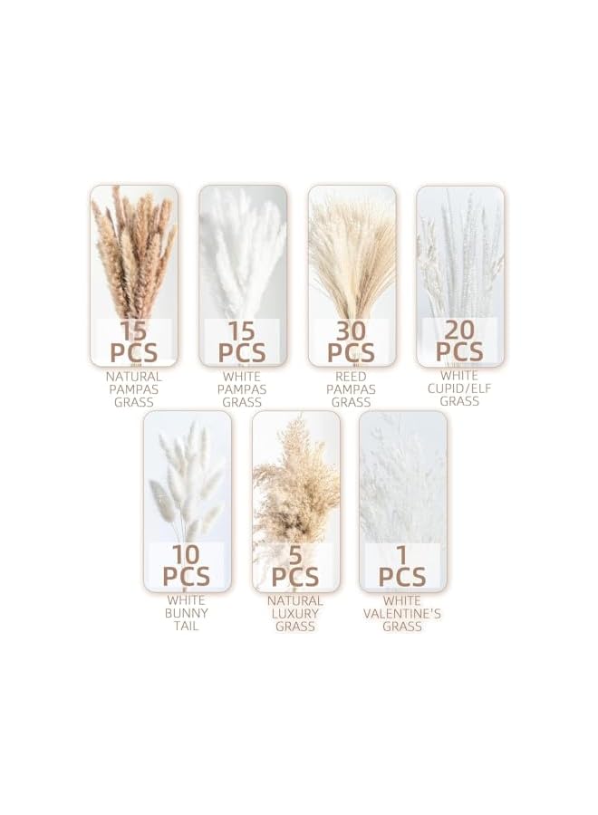 The Bros 96 Pcs Natural Dried Pampas Grass Bouquet, Boho Home Decor,Phragmites,Artificial Flowers for Wedding,Pampas Flowers for Floral Room,Home, Party,Table Decorations. - Image 4