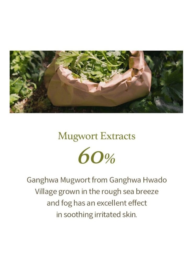 Mugwort Gel Cleanser 150 ml, Mugwort Extract 60%, Korean Cleanser, Natural, Herbal, Calming, Soothing, Micro Cleansing