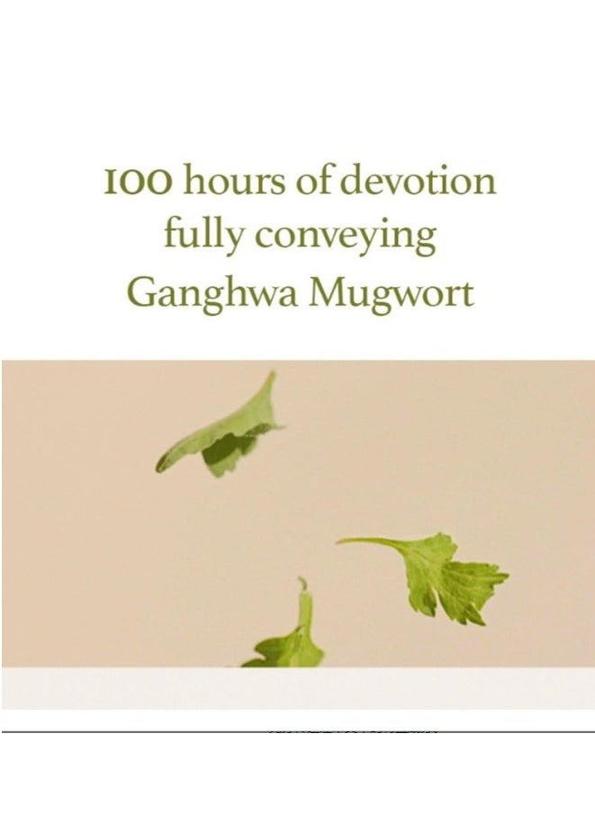 Mugwort Gel Cleanser 150 ml, Mugwort Extract 60%, Korean Cleanser, Natural, Herbal, Calming, Soothing, Micro Cleansing
