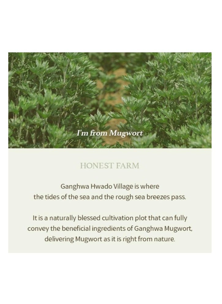 Mugwort Gel Cleanser 150 ml, Mugwort Extract 60%, Korean Cleanser, Natural, Herbal, Calming, Soothing, Micro Cleansing