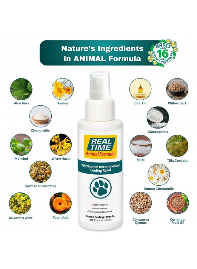 Real Time Pain Relief Real Time Pain Relief Pet Formula, 4 Ounce Spray Bottle  - Image 4