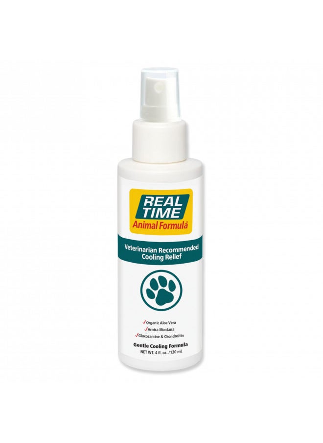 Real Time Pain Relief Real Time Pain Relief Pet Formula, 4 Ounce Spray Bottle  - Image 1
